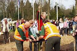 Wethouder Roel Kaastra plant de eerste boom bij het speelveld aan de Kerkelaan in Katlijk.